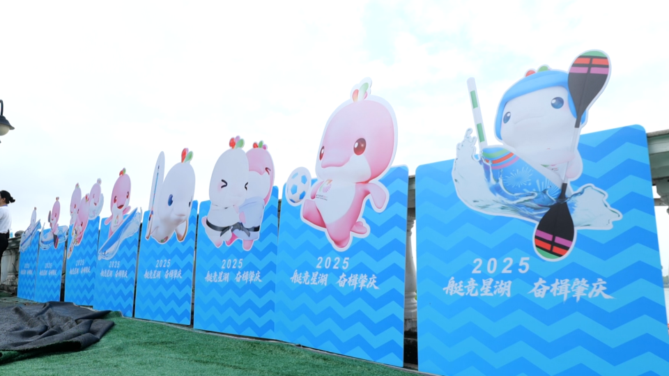 资源, WEGJM, 中心代表依